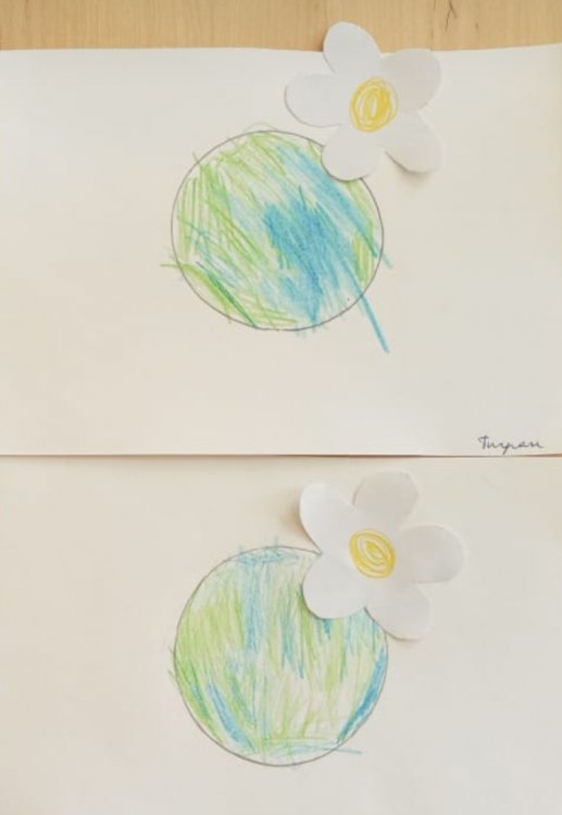 img (7)